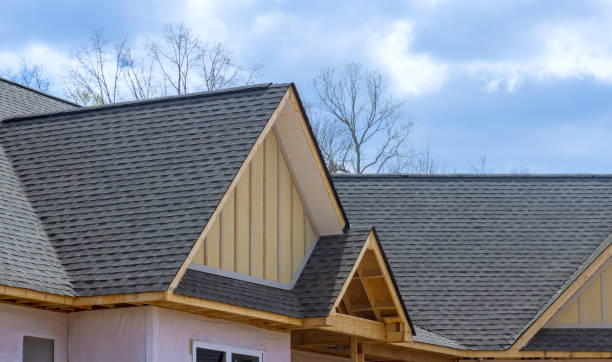 Trusted Petersburg, MI Roofing Services Experts